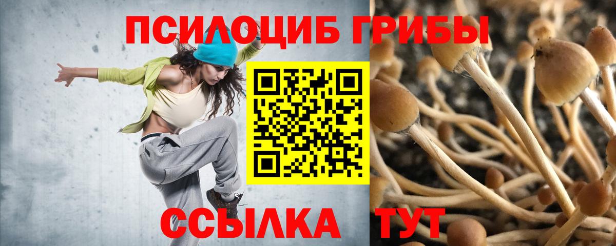 Галлюциногенные грибы Psilocybine cubensis  Вход с VPN  Александров  Галлюциногенные грибы мухоморы 