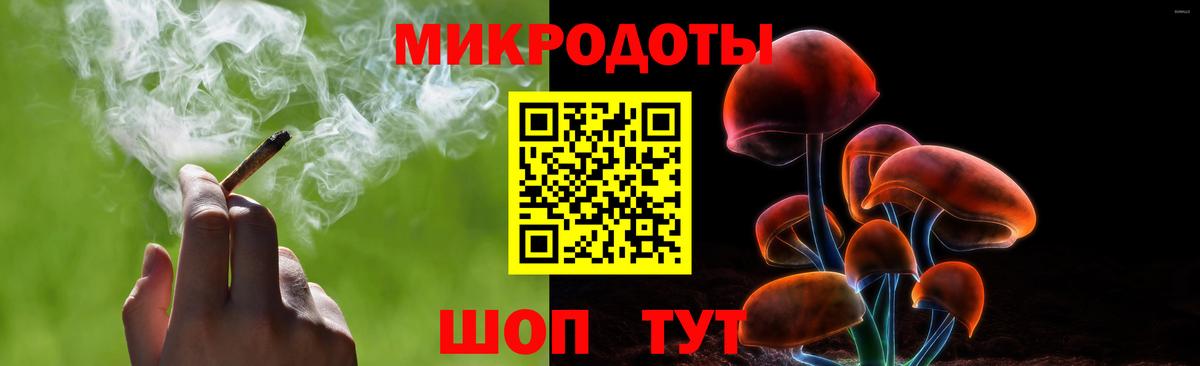 Псилоцибиновые грибы Psilocybine cubensis Александров