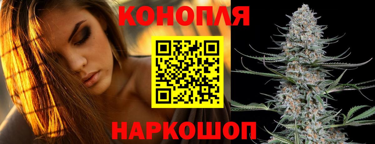 МАРИХУАНА семена Александров