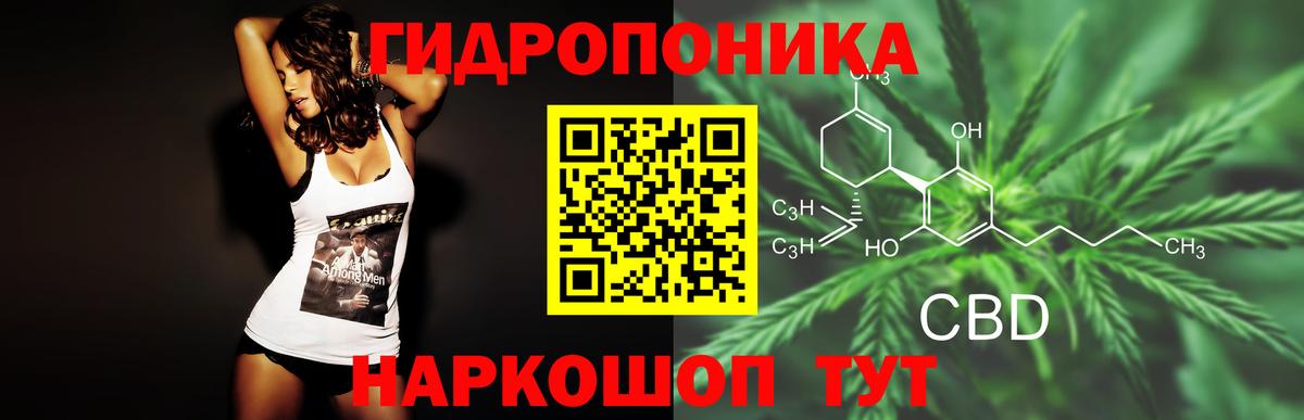 Марихуана Bruce Banner  Шишки марихуана тримм  Александров  Вход с VPN 